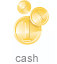 Cash